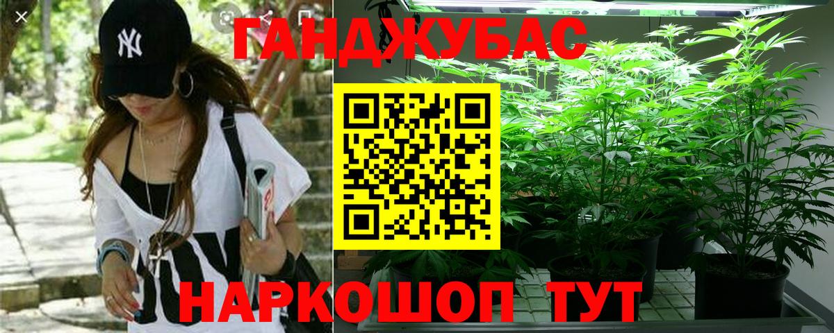 МАРИХУАНА тримм  Вход с VPN  Лангепас  Бошки марихуана план 